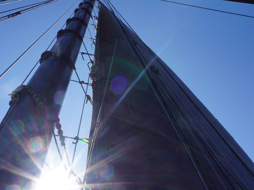 Buchingsinformationen Medusa