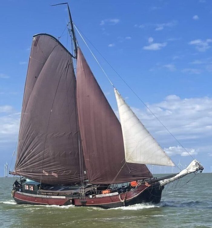 Die Medusa auf dem IJsselmeer