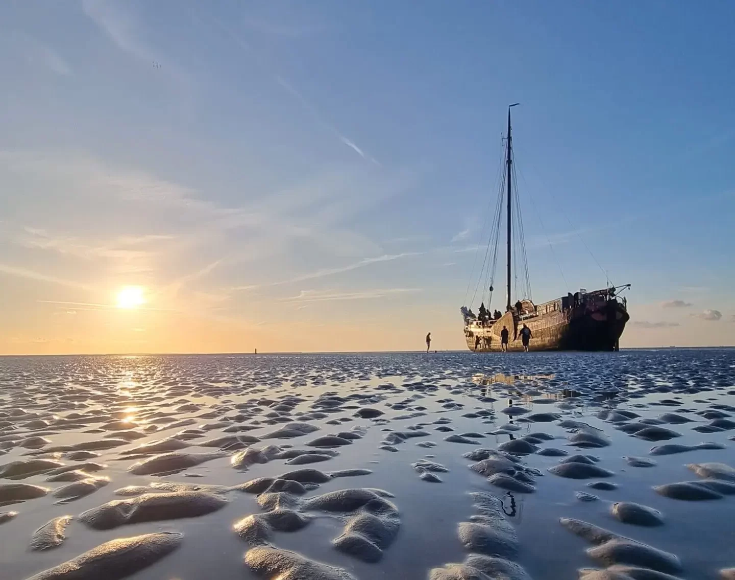 Trockenfallen auf dem Wattenmeer mit der Medusa