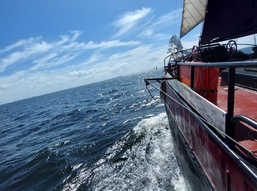 Segeln auf dem IJsselmeer und Wattenmeer