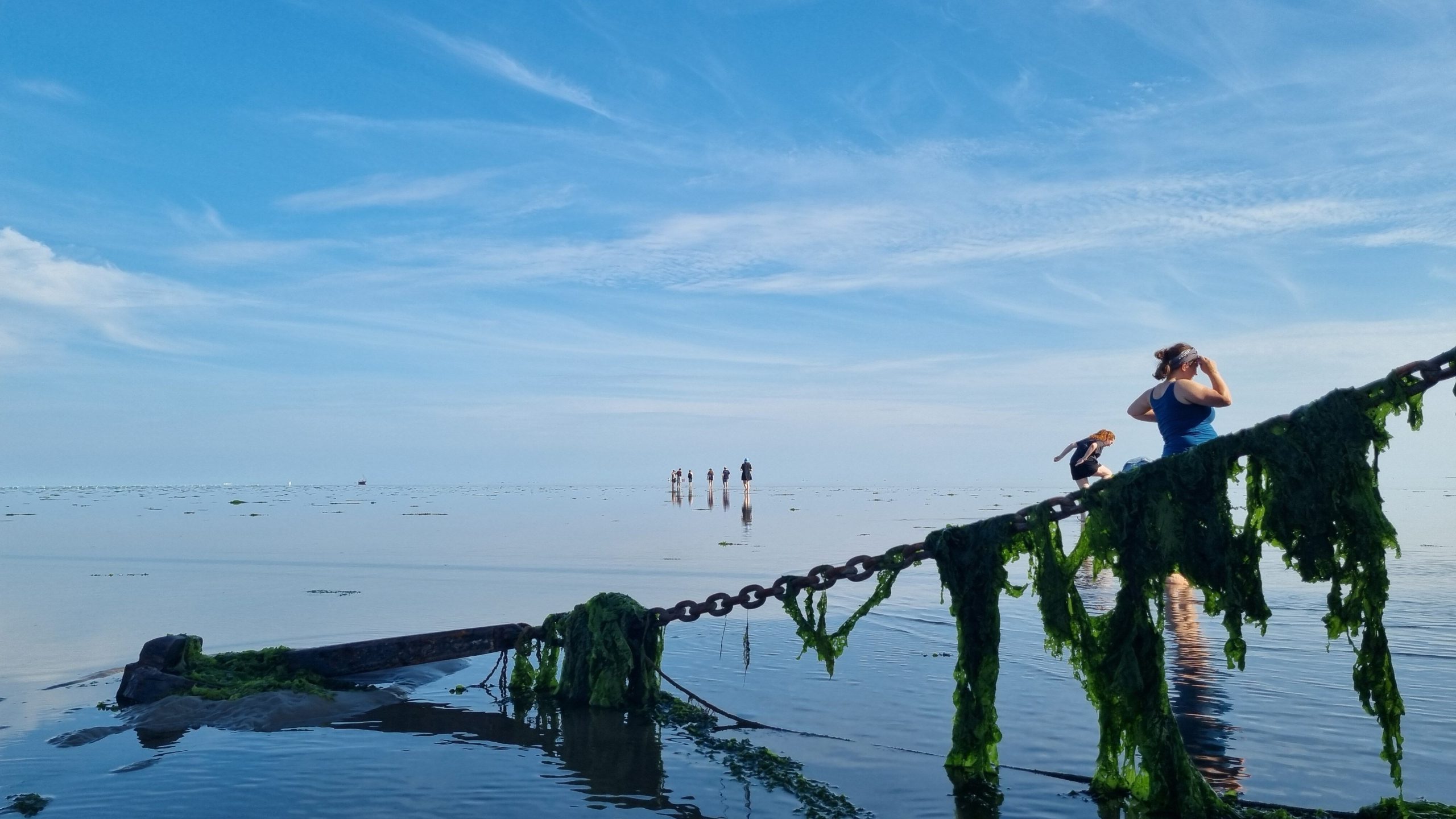 Spaziergang auf dem Watt