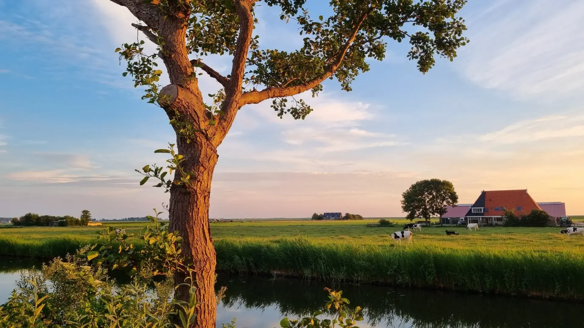 Die friesische Landschaft in der Umgebung von Stavoren