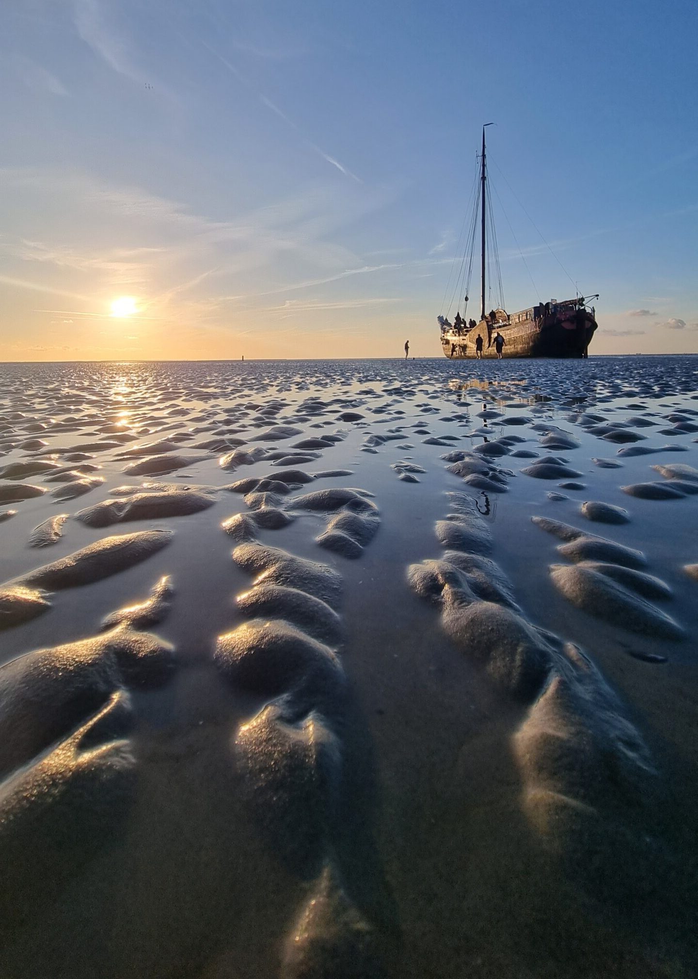 Ein besonderes Erlebnis im Segelurlaub: Trockenfallen im Wattenmeer