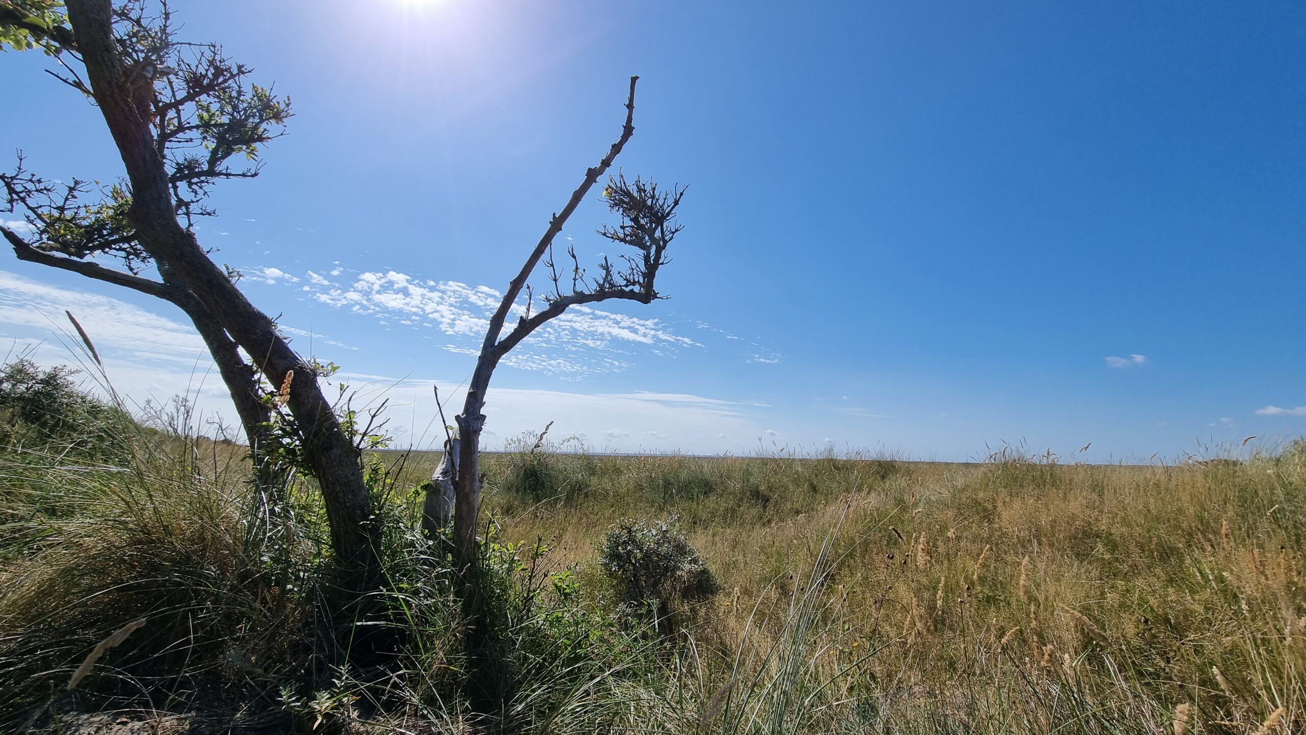 Unberührte Dünen- und Naturlandschaft auf Schiermonnikoog