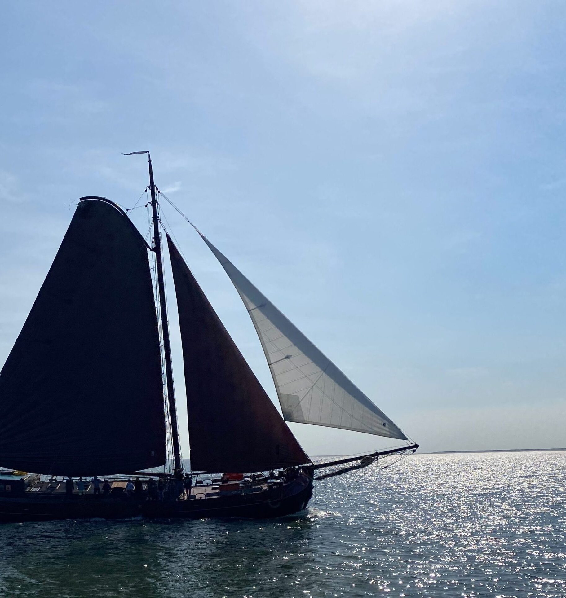 Kurztrip segeln auf dem IJsselmeer mit der Medusa